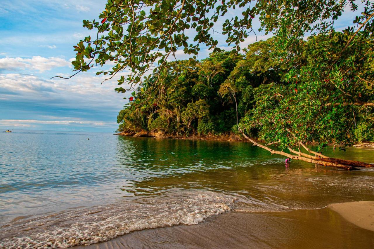 Готель Bambutel Cocles Puerto Viejo de Talamanca Екстер'єр фото